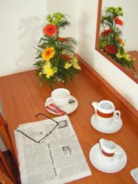 Standard single with city view, private facilities (shower), and breakfast